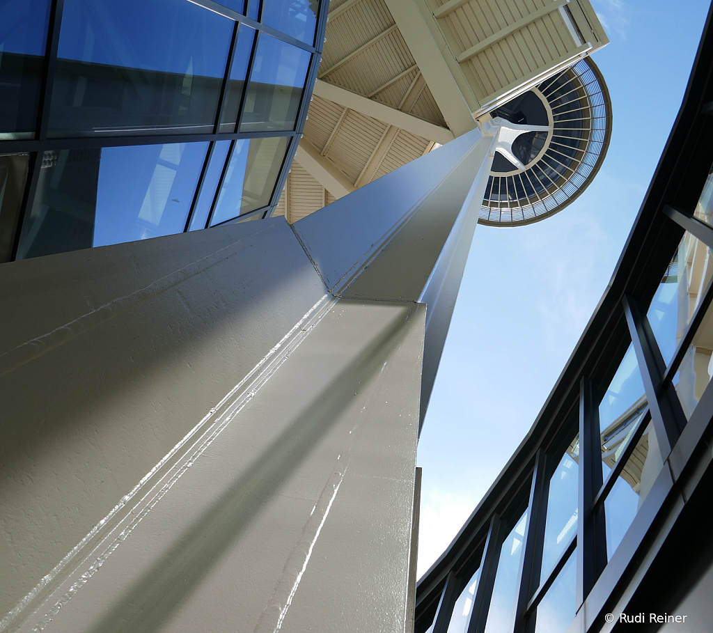 Looking up, Seattle