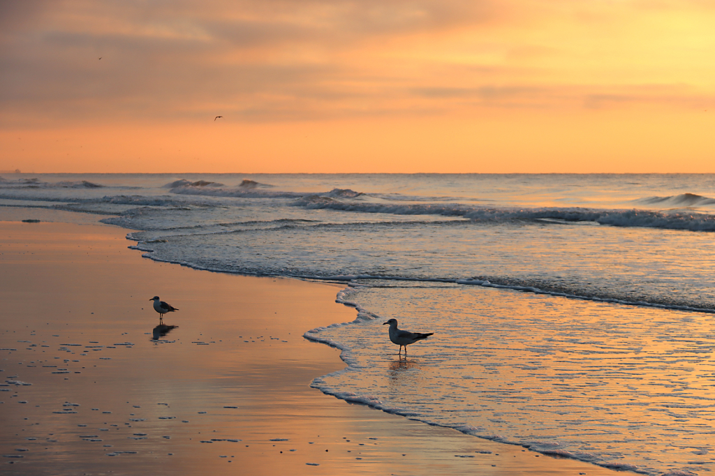 Sunrise - ID: 16027925 © Lori A. Nevers