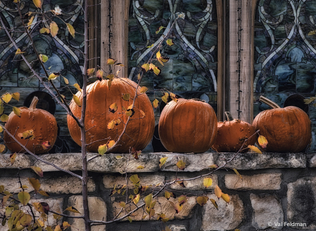 Pumpkins in the Courtyard