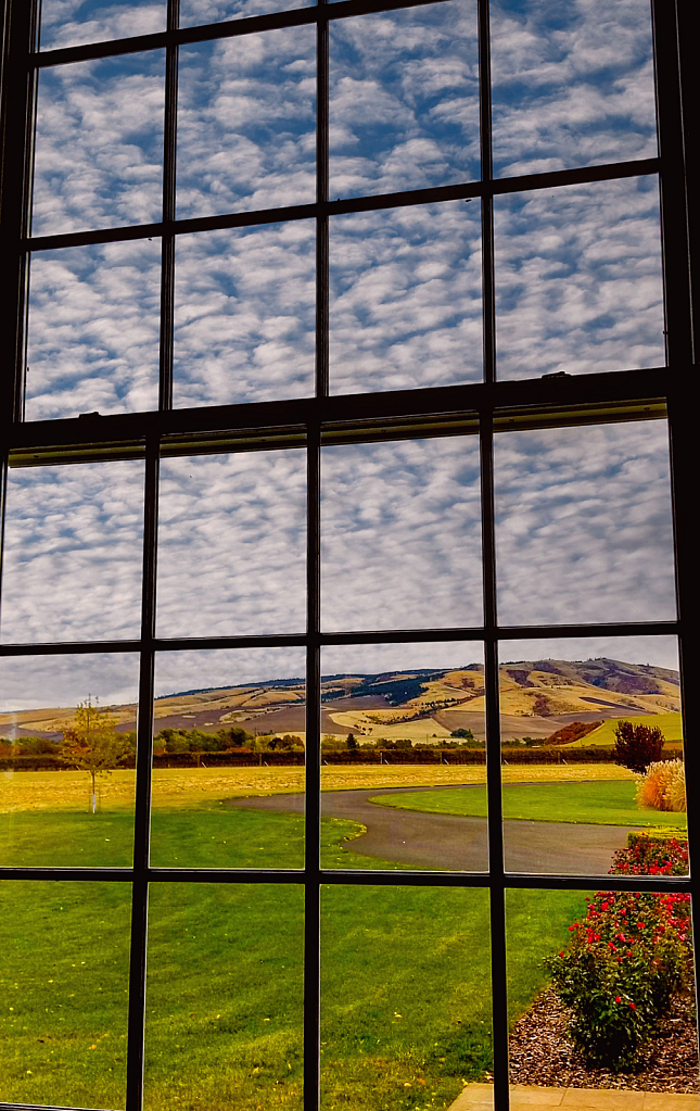 WW Wine Window - ID: 16028253 © Steve Pinzon