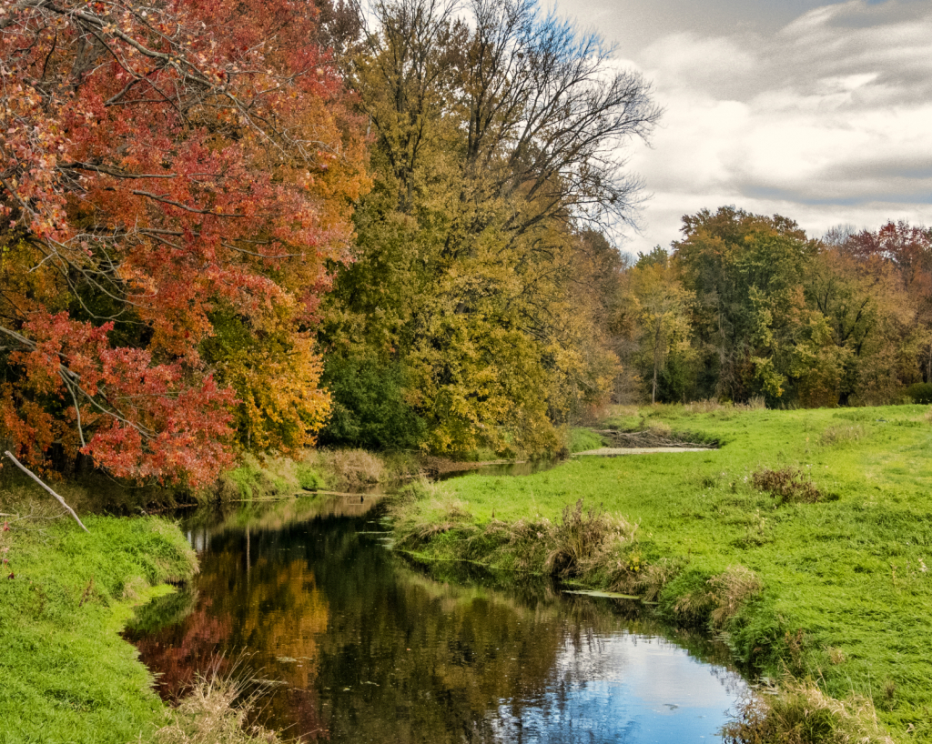 Autumn Stream