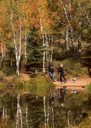 Aspen Mirror Lake 