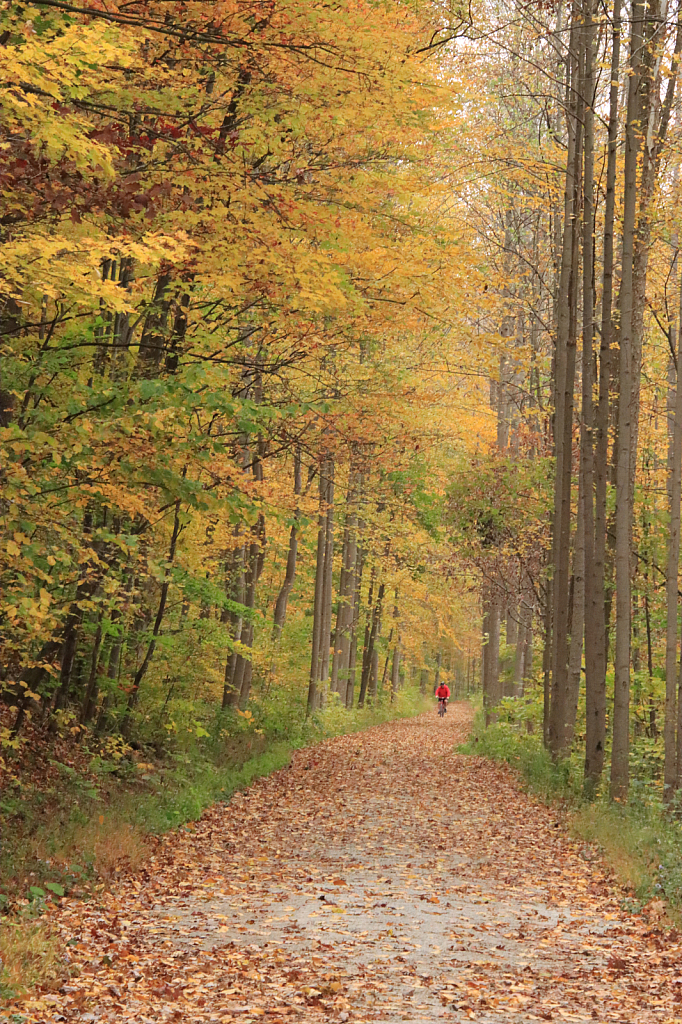 Ride Through Fall