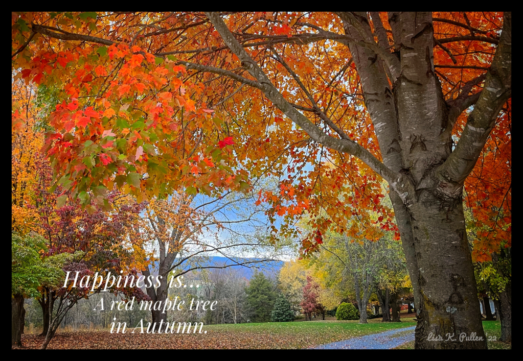 Autumn Happiness 