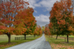 Autumn Drive