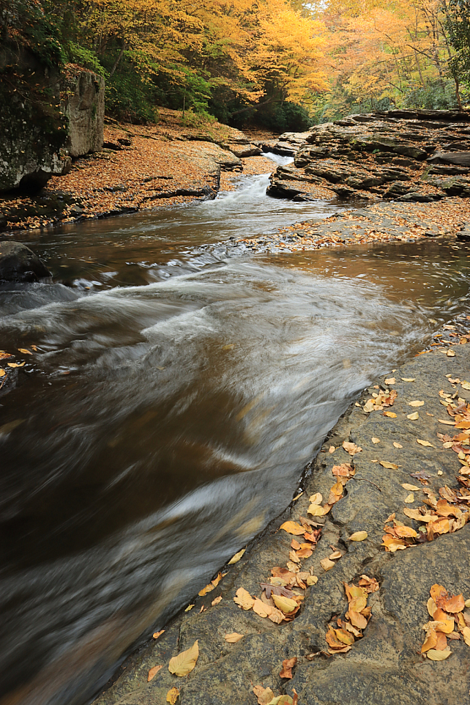 Meadow Run Cascades