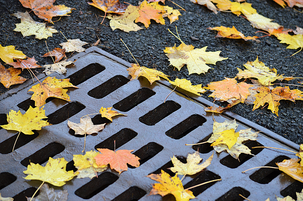 Fallen on grate 