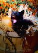 It's Hallowe...