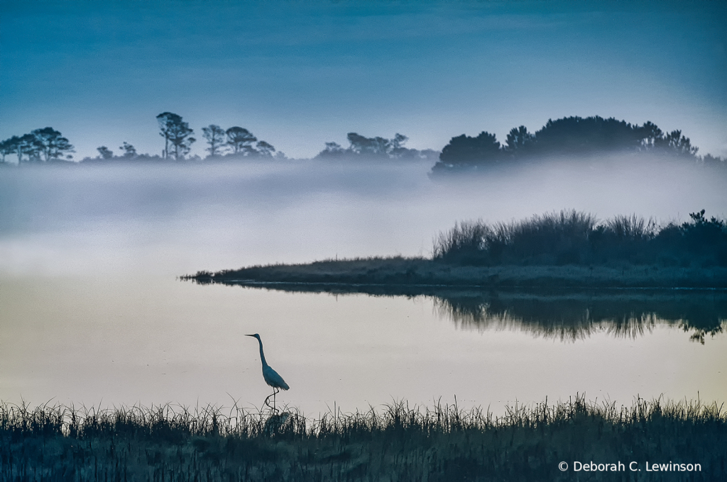 Chincoteague Dawn