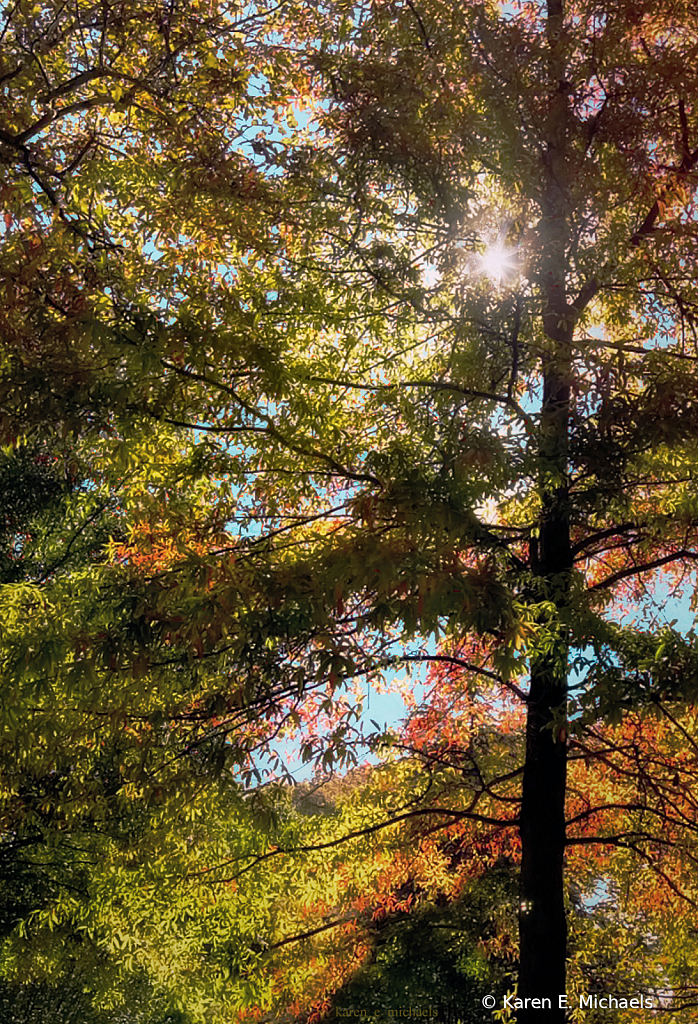 The Autumn Experience - ID: 16029094 © Karen E. Michaels