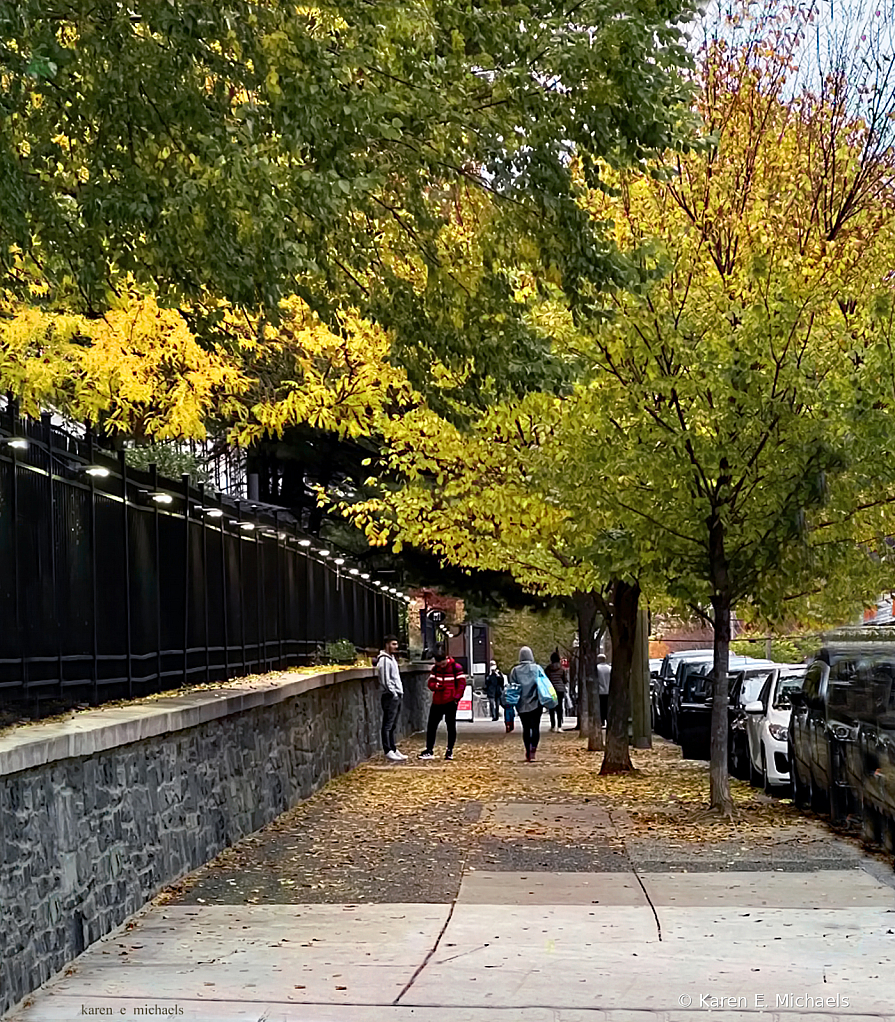 pedestrian traffic - ID: 16029252 © Karen E. Michaels