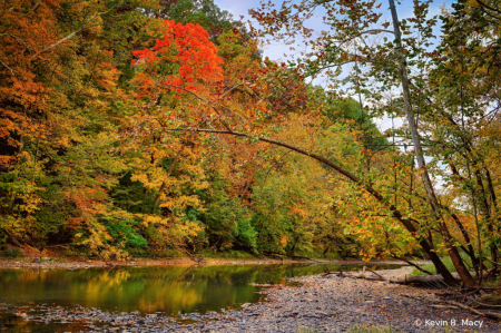 The Salamonie River in the fall.
