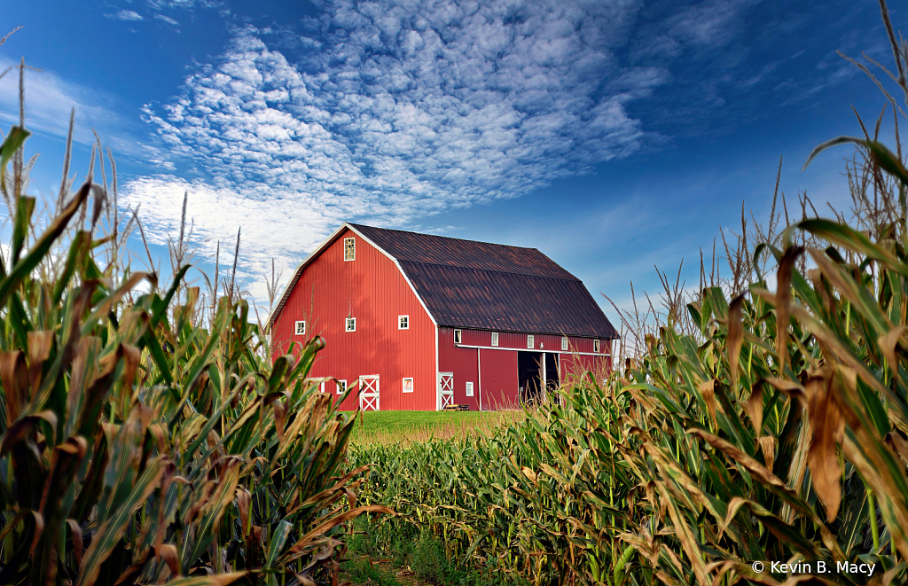 Barn via the corn