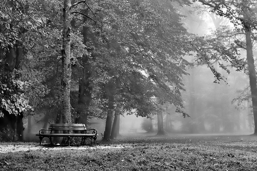 Autumn Bench