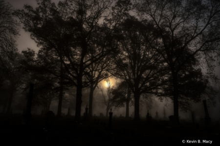 Fog in a graveyard