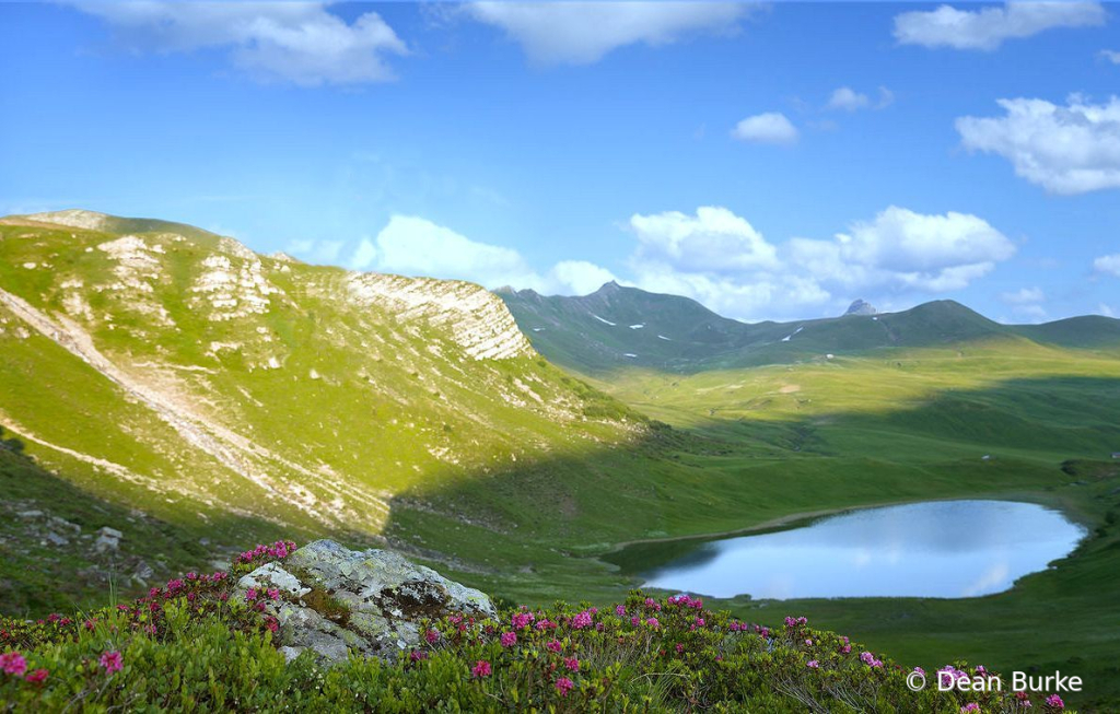 A Mountain Pond