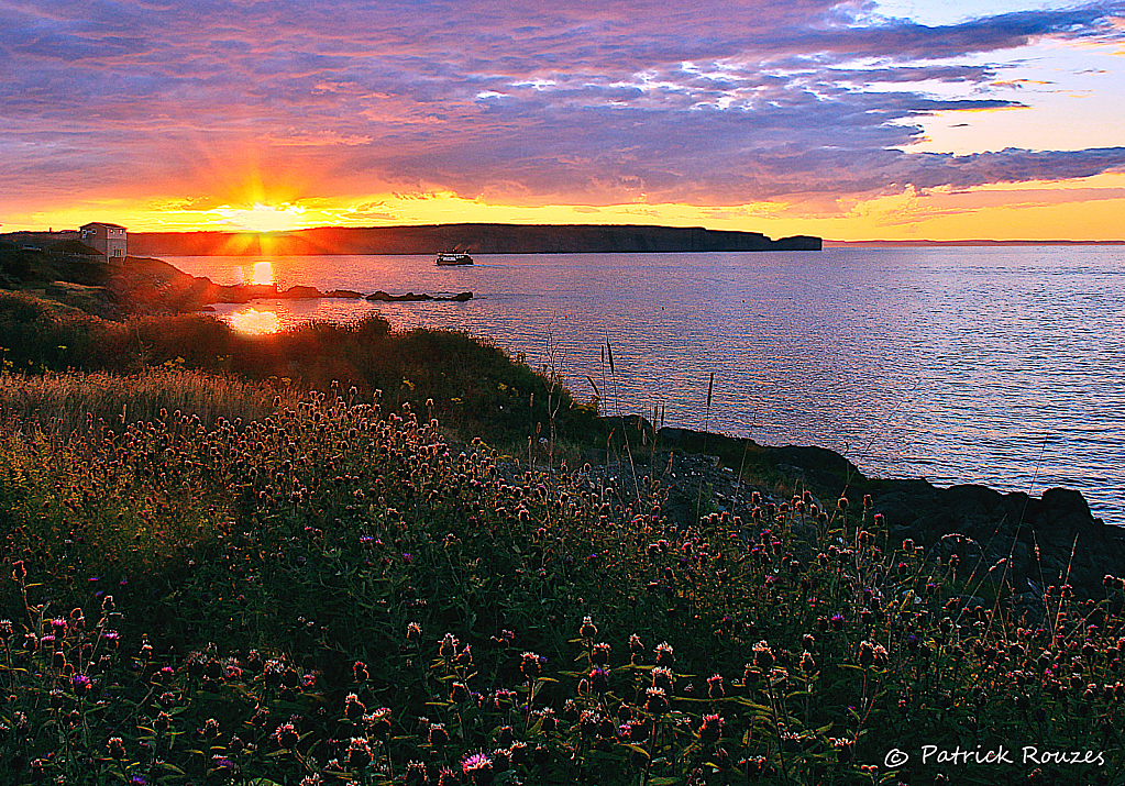 The Portugal Cove Run