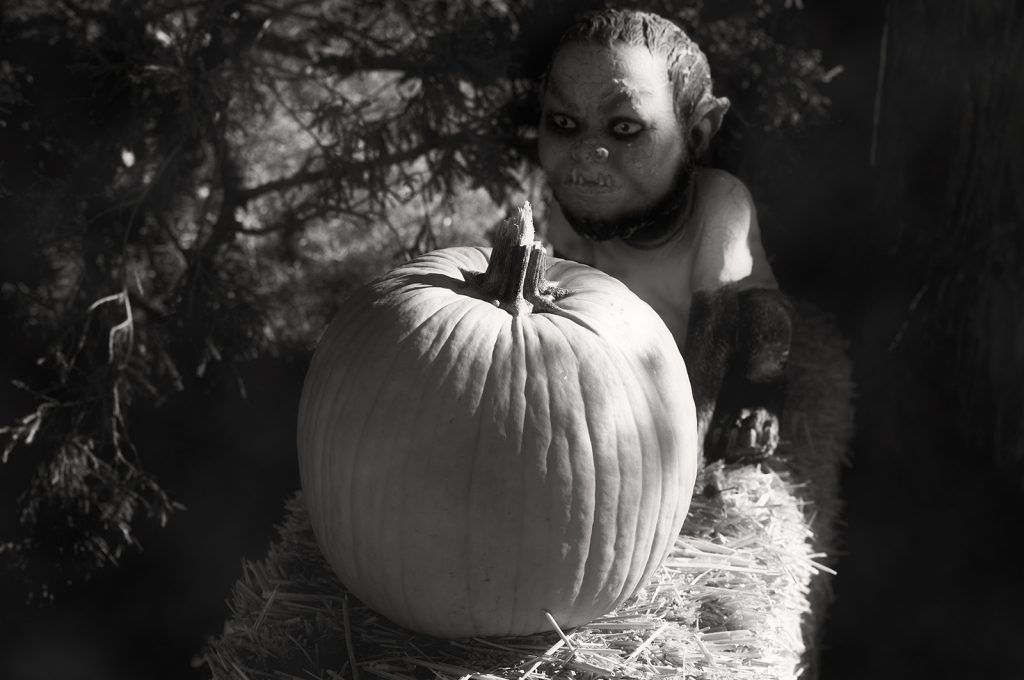 Happy Halloween - ID: 16029154 © Kelley J. Heffelfinger