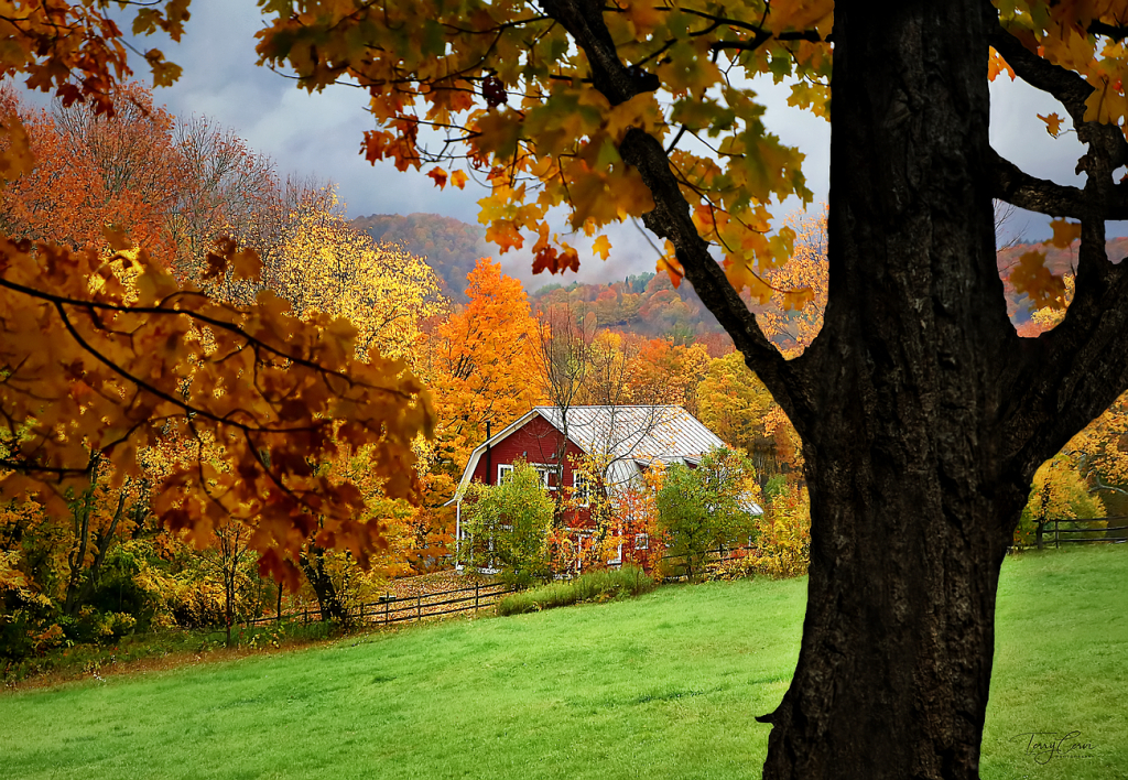 Vermont Autumn