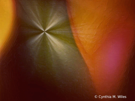 Abstract From the Fruit Bowl 