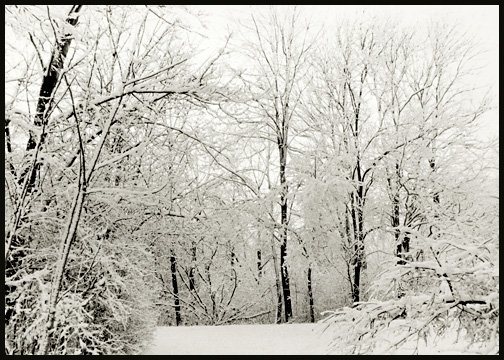 "Winter Calm" - ID: 16030735 © Carine C. Lutz