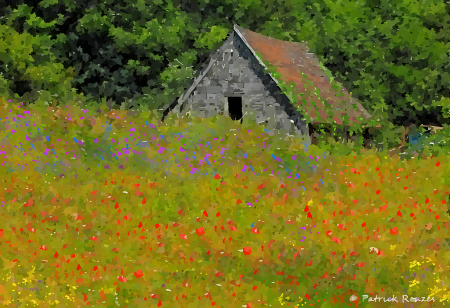 An Old Barn and Wildflowers