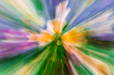 Abstract flowers