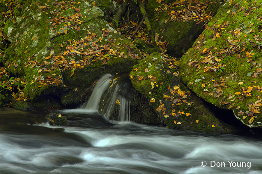 Little Waterfall