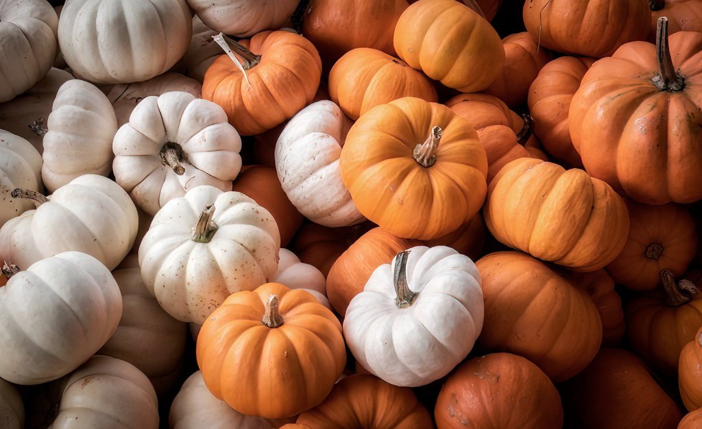 Plenty of Pumpkins