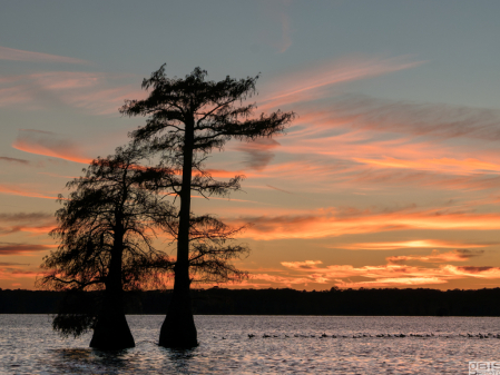 Sunset on Caddo Lake
