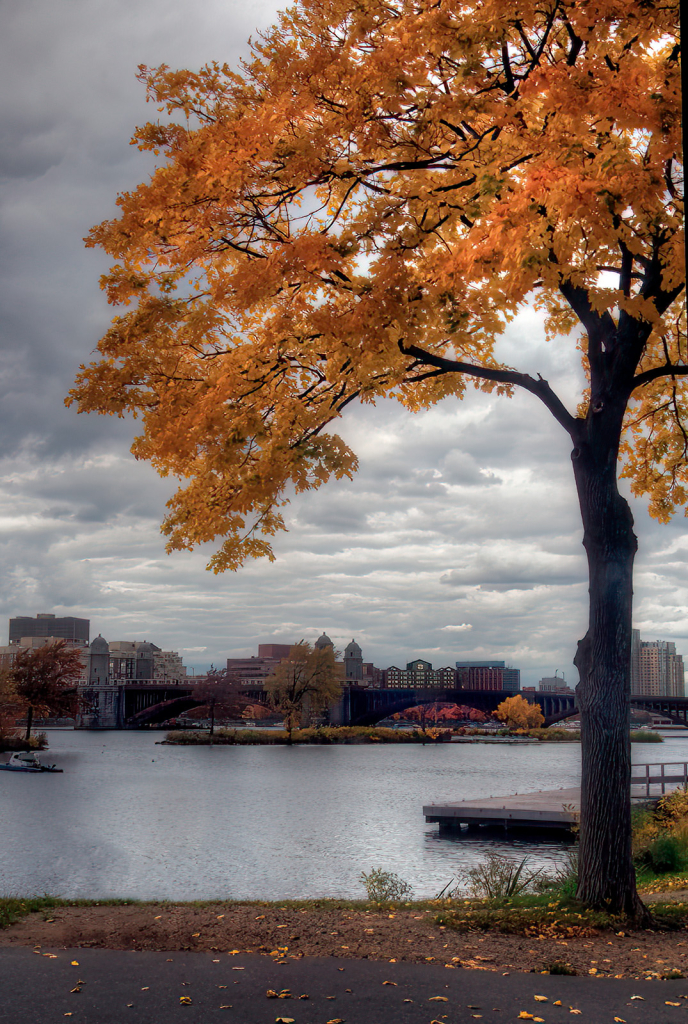 Autumn Umbrella