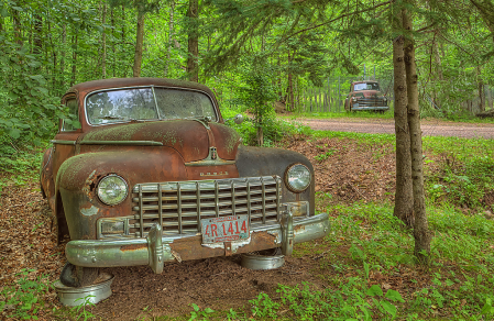 Old Cars in the Woods