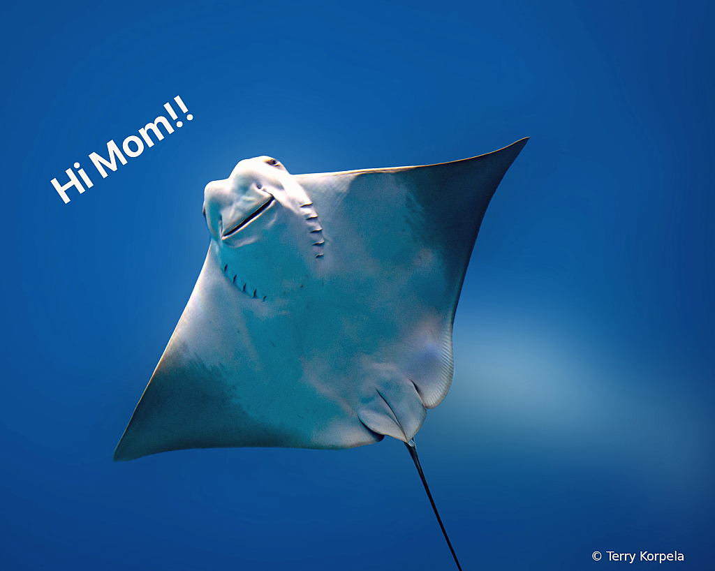 Hi Mom!!