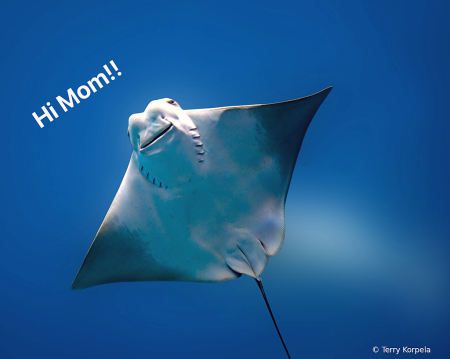 Hi Mom!!