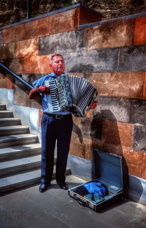 ~ ~ THE ACCORDION PLAYER ~ ~ 