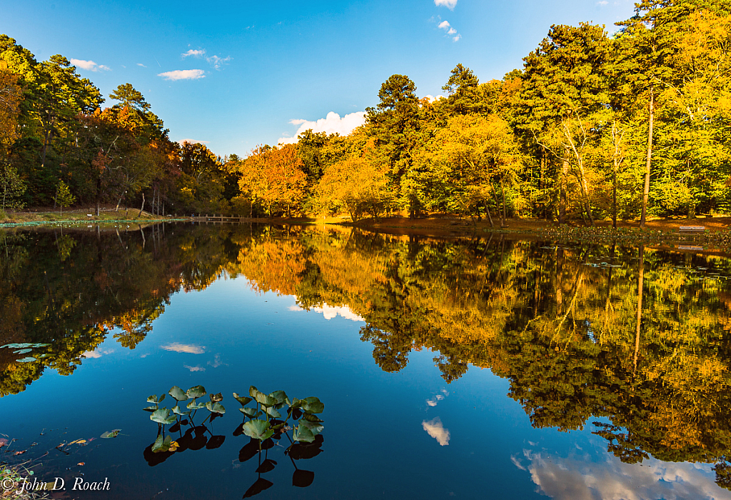 Autumn at the Pond - ID: 16032089 © John D. Roach