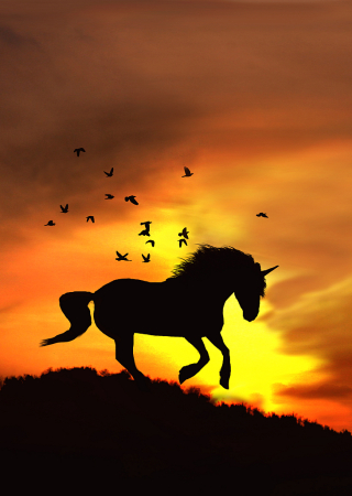 Unicorn in Sunset