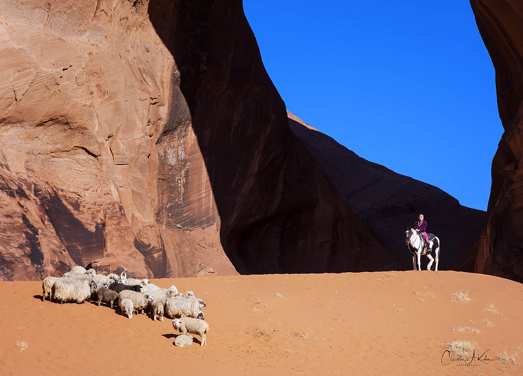 Sheep Herder