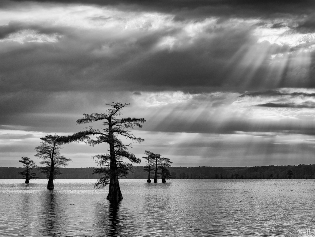 Sunrise on the lake