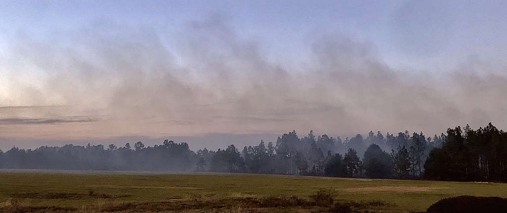 Burning the underbrush 1 - ID: 16032287 © Elizabeth A. Marker