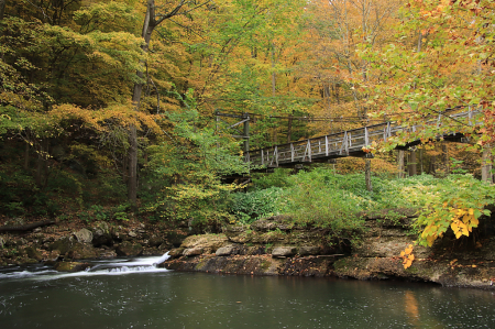 Bridge into Fall