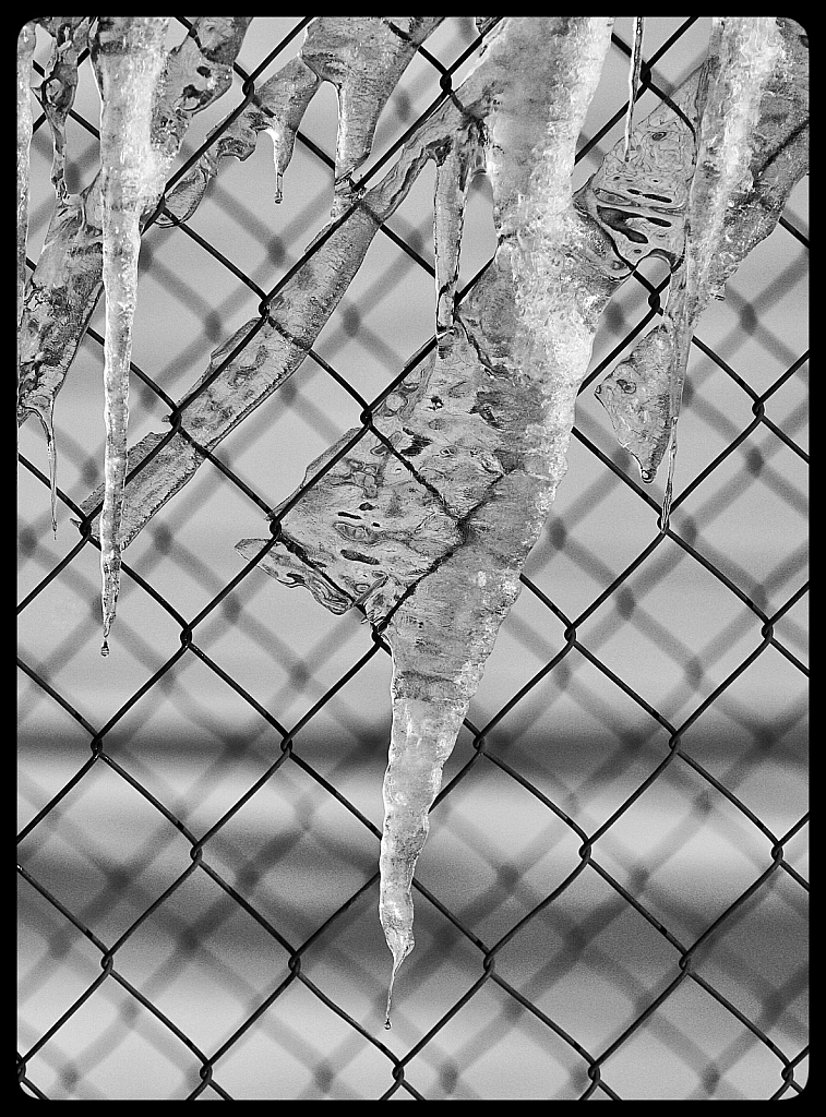 Fence Freeze