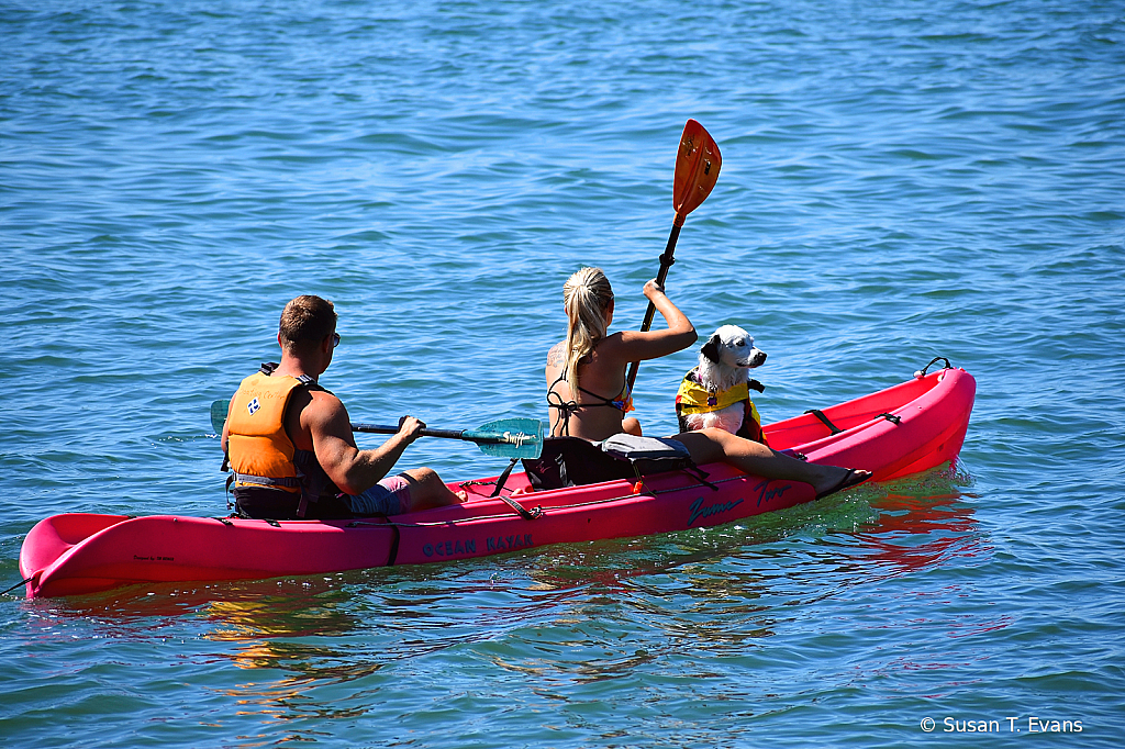 Adventure on the Pacific