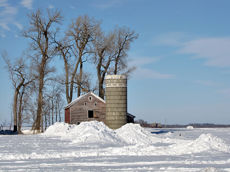 On the Farm