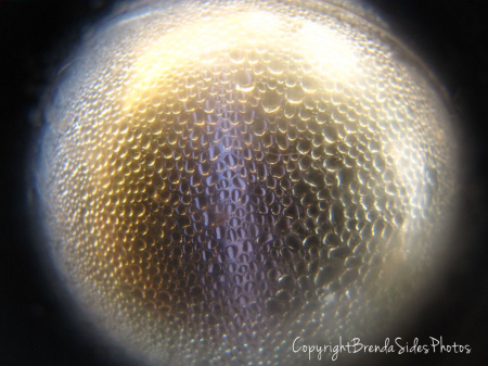~Condensation Inside a Ball~