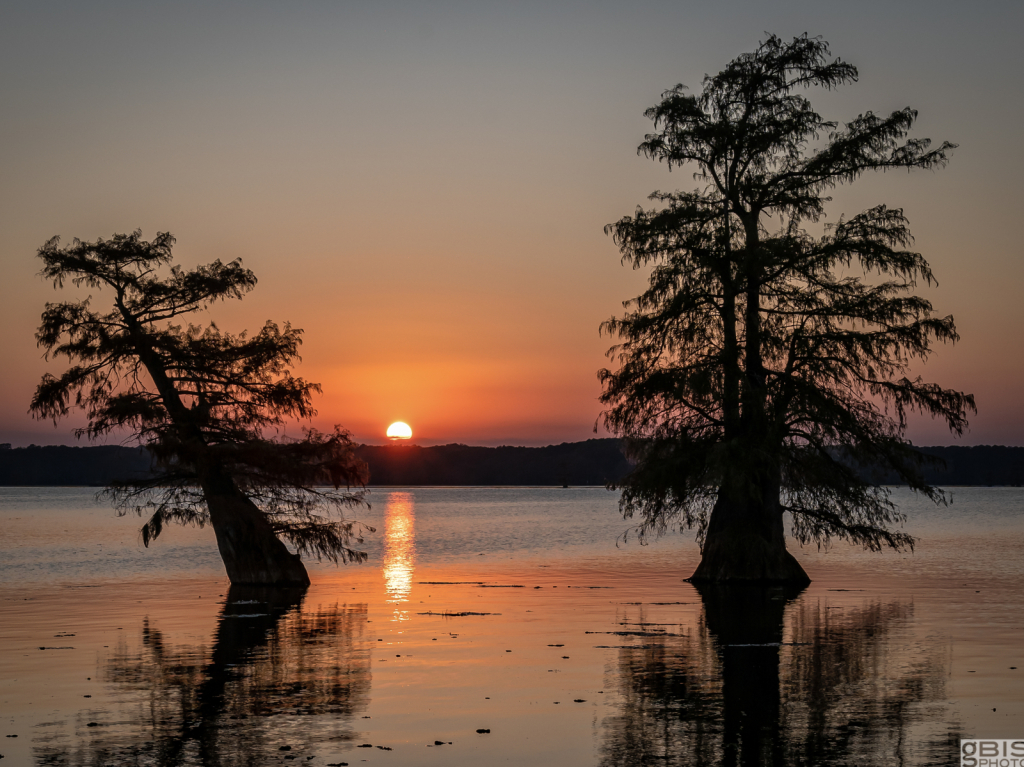 Sunset on Caddo Lake