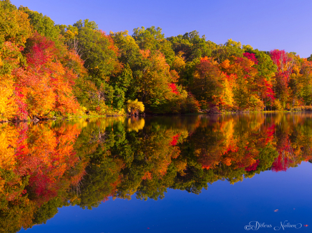 Reflections of Autumn