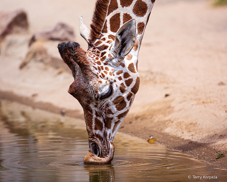 Having a Drink!