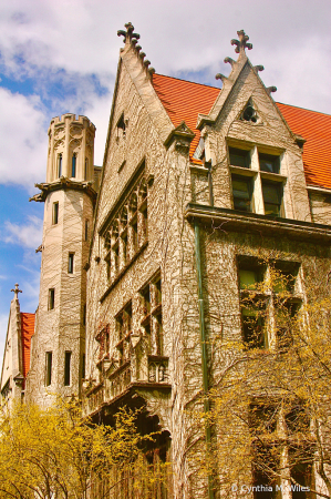 Gothic Architecture in Chicago 