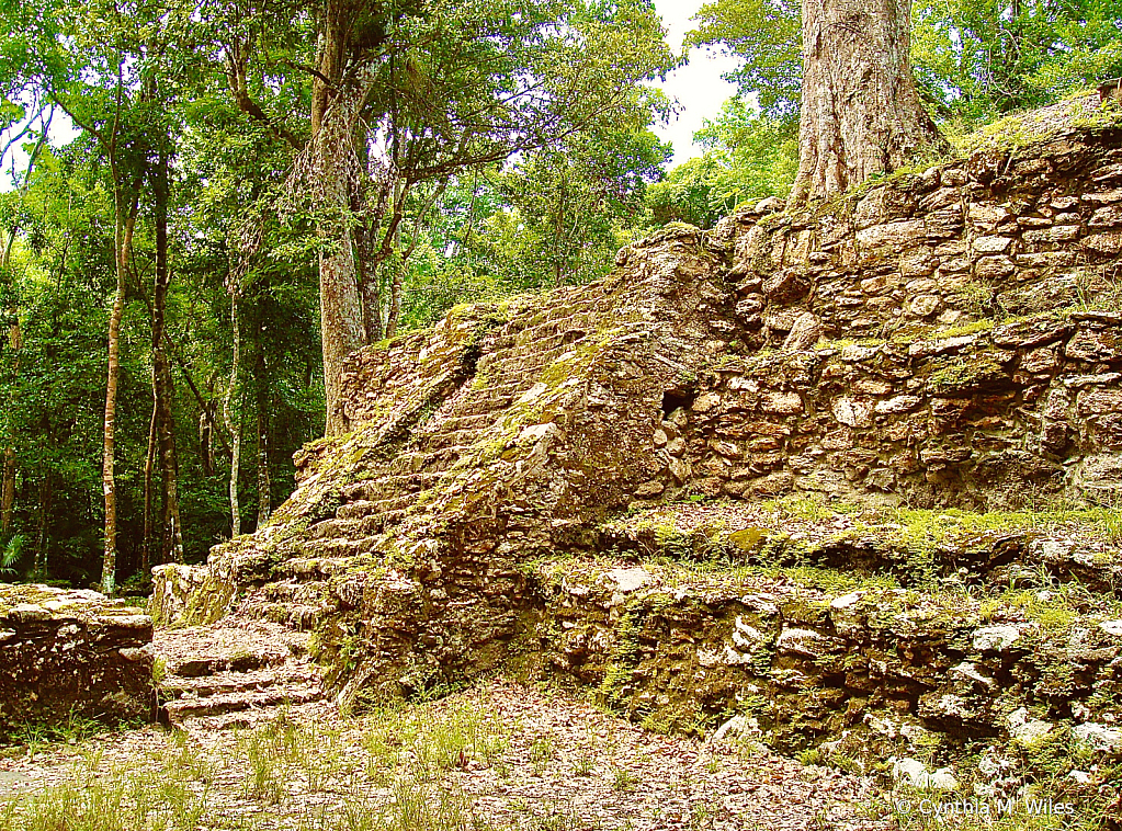 Ancient Mayan Steps